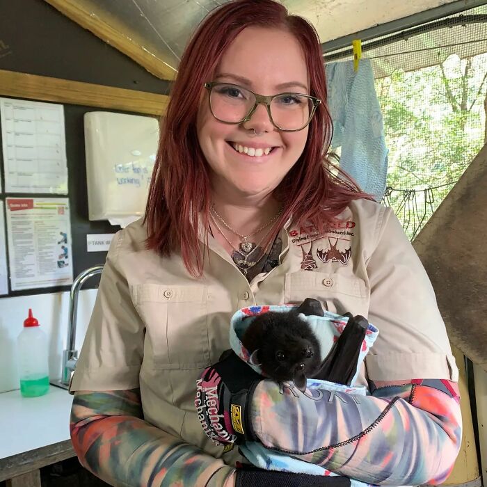 Meet Rhi Batty, A Wildlife Vet Nurse who dedicates her time to helping Baby Bats in Need