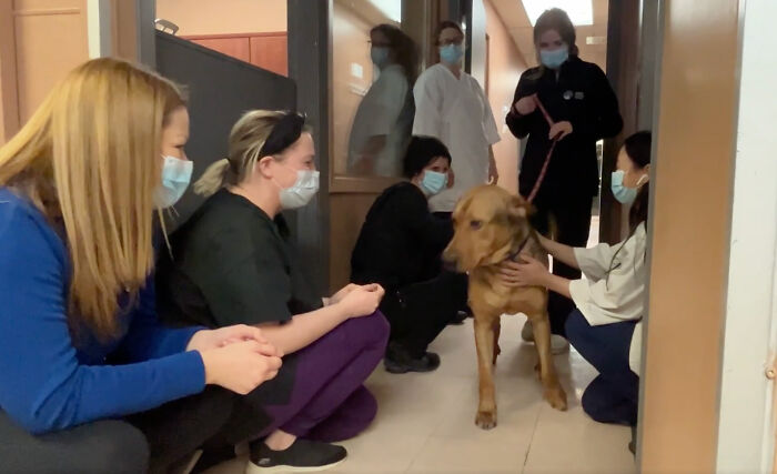 Fur-Ever Grateful Shelter Pooch Kisses Every Staff Member After Being Adopted