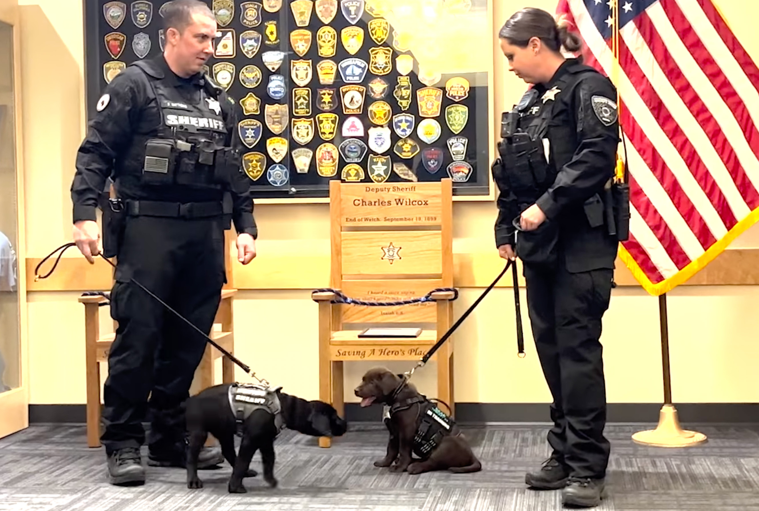 K9 Puppy Melts Hearts While Taking a Nap During the Swearing Ceremony