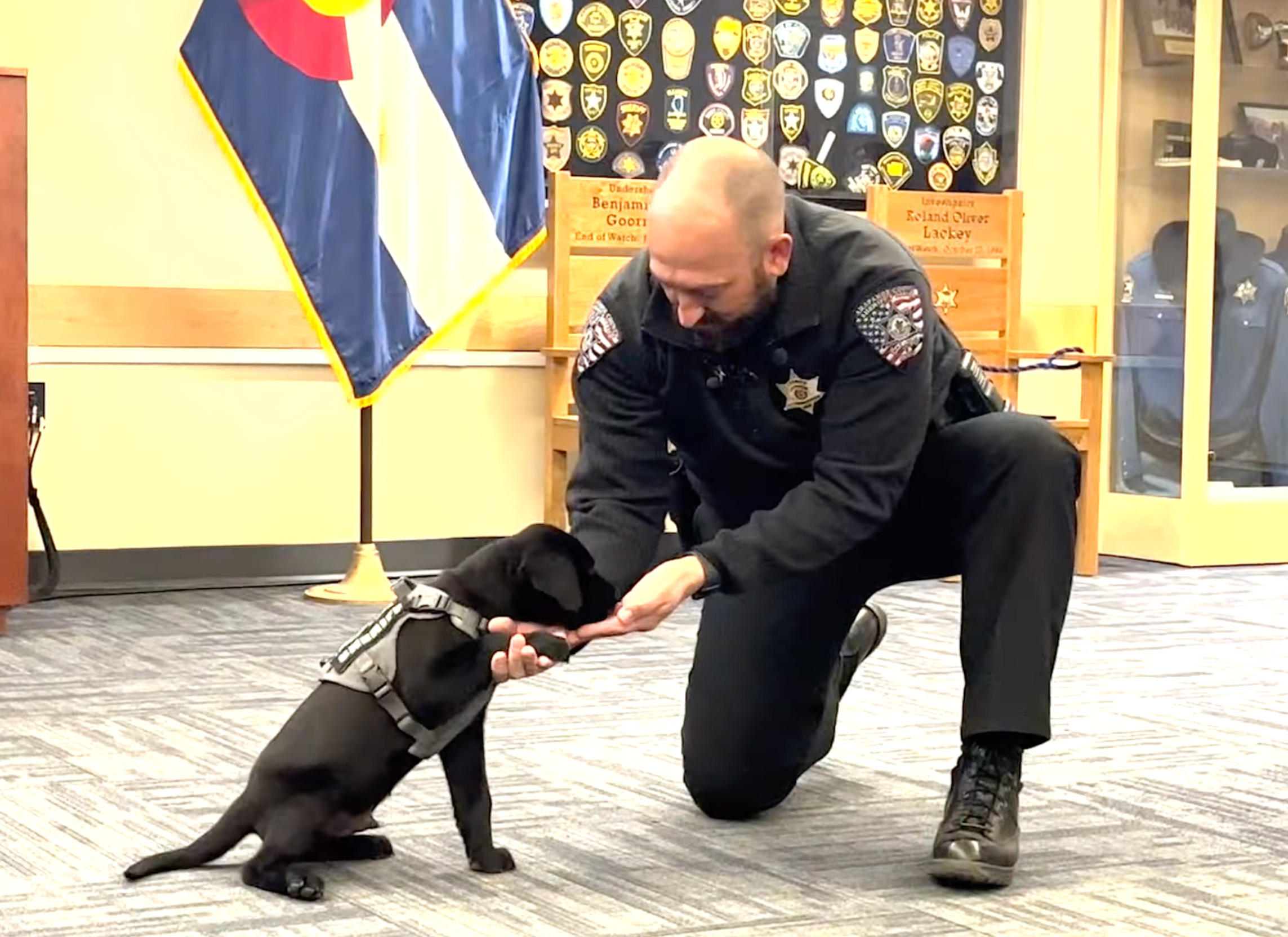 K9 Puppy Melts Hearts While Taking a Nap During the Swearing Ceremony