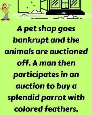 A pet shop goes bankrupt