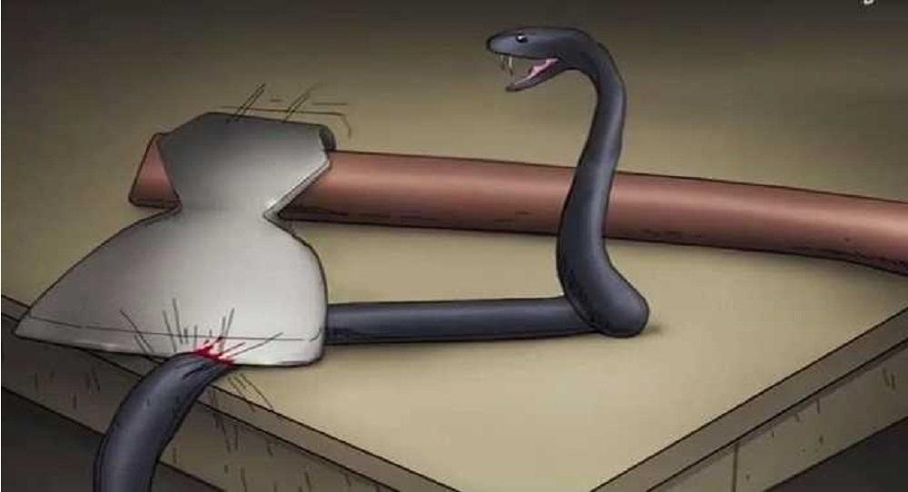 Moral Story ‣ The Cobra And The Axe Story Moral Story The Cobra And The Axe Story 1 - Moral Story ‣ The Cobra And The Axe Story