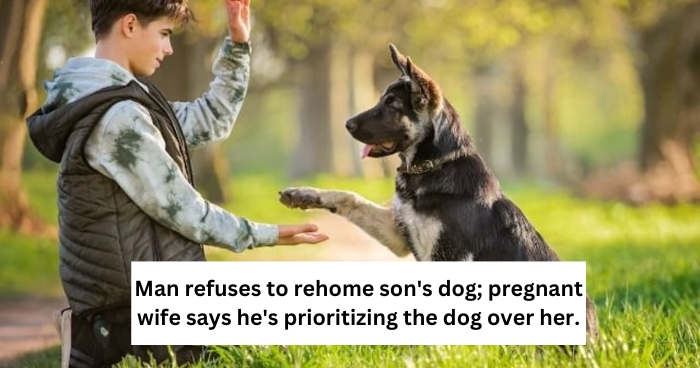 Man refuses to rehome son's dog; pregnant wife says he's prioritizing the dog over her.