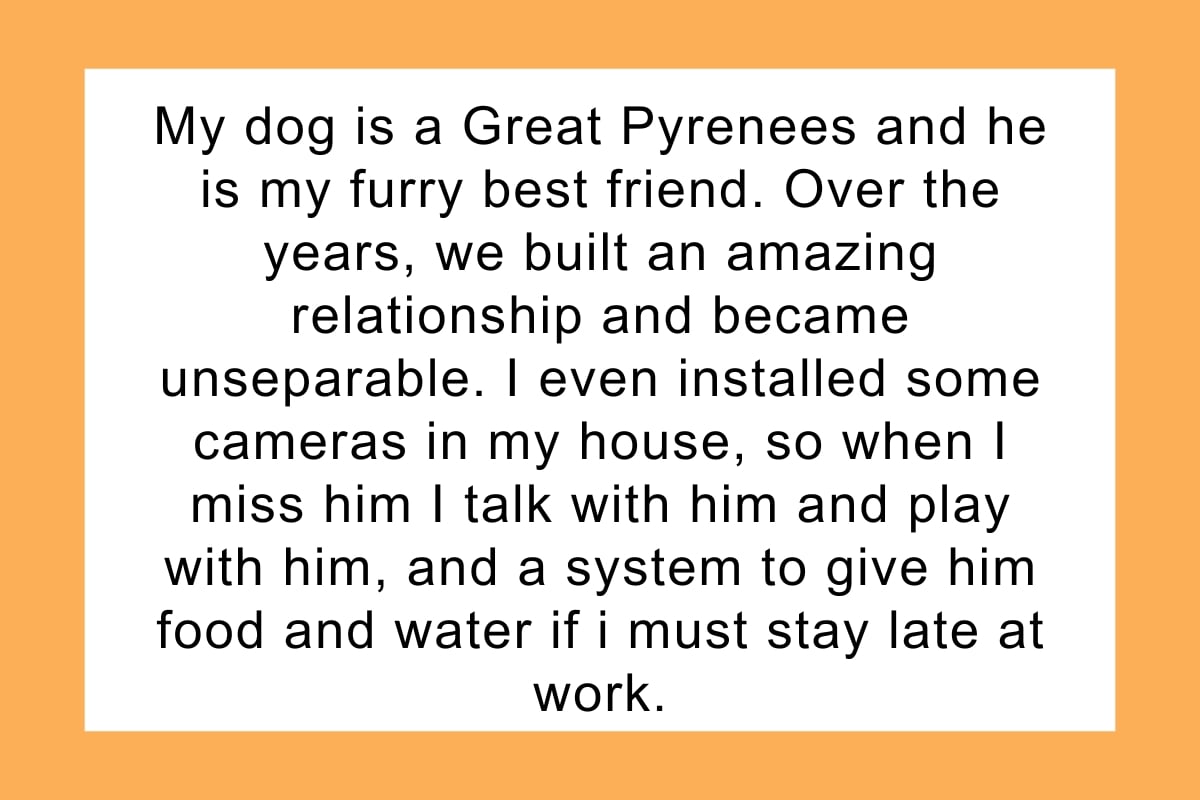 Man gives GF an ultimatum: 'if you don't like my dog, you can kick rocks and be single.' AITA? UPDATED