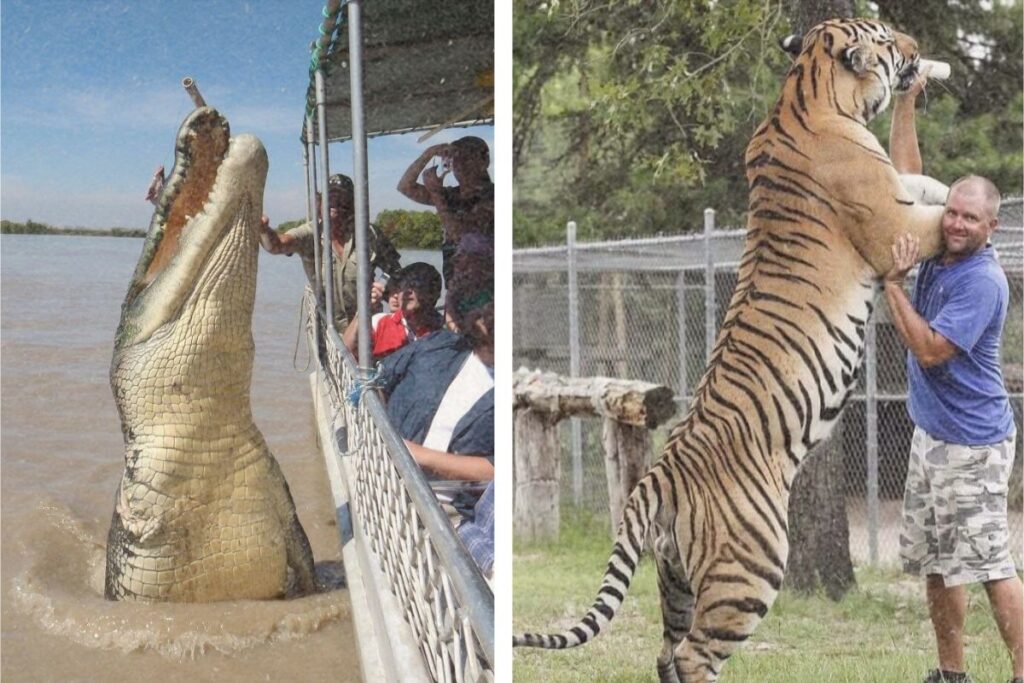 Animals We Had No Idea Were Actually Shockingly Massive