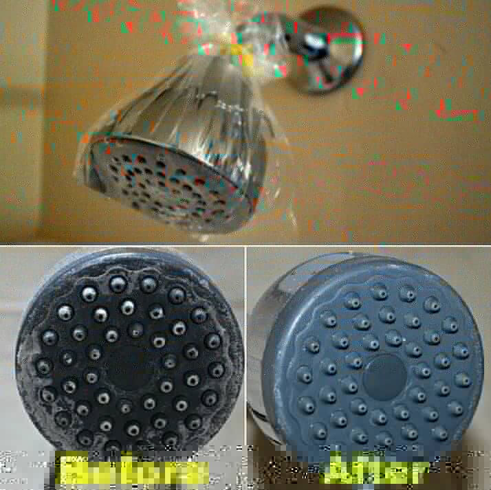 ​Vinegar Can Revitalize Shower-Heads