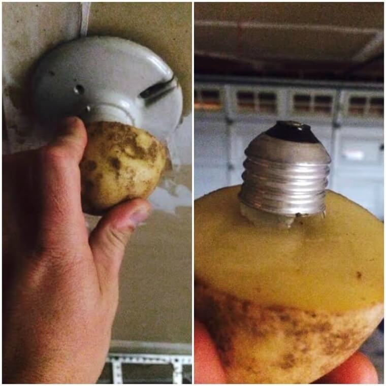 ​A Potato Can Help You Unscrew A Broken Lightbulb