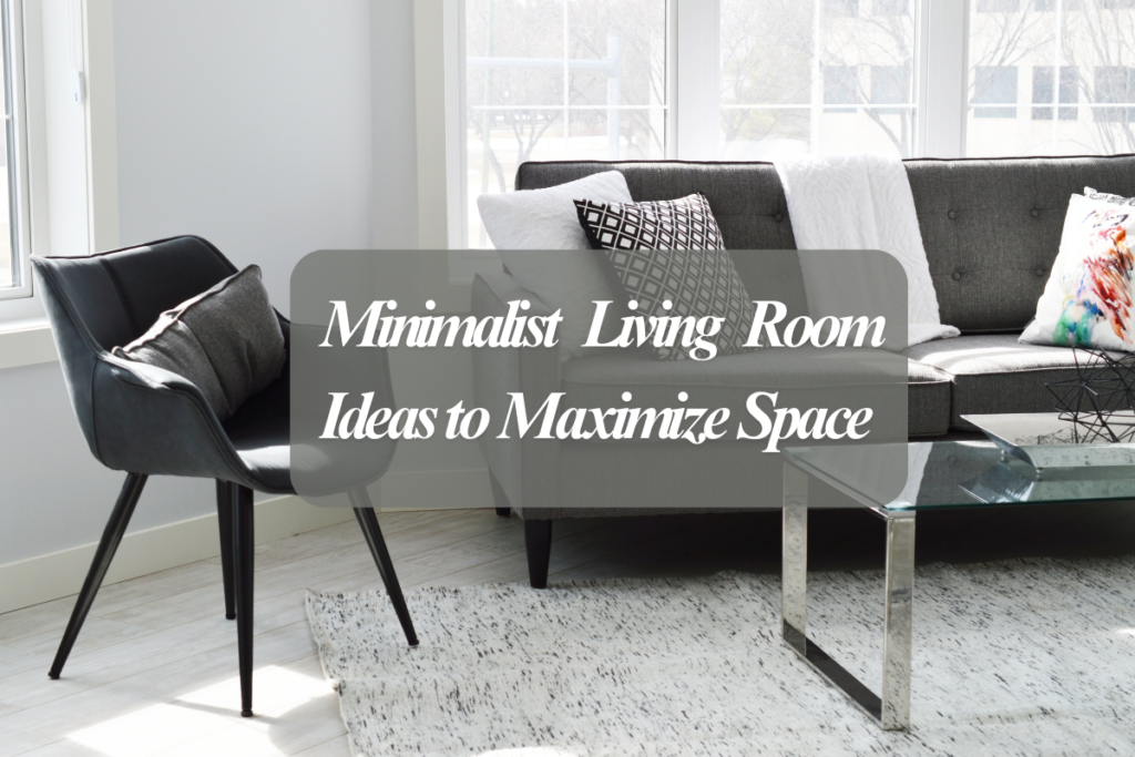 Minimalist Living Room Ideas to Maximize Space