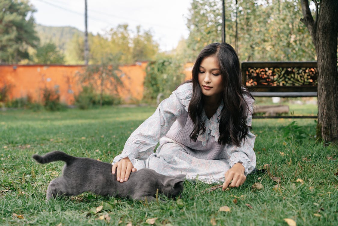 Free Girl in White Dress Petting the Gray Cat on Grass Stock Photo