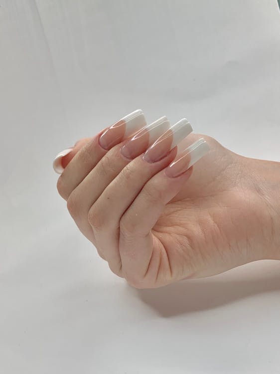 Free Close-up of a well-manicured hand with a classic French tip design. Stock Photo