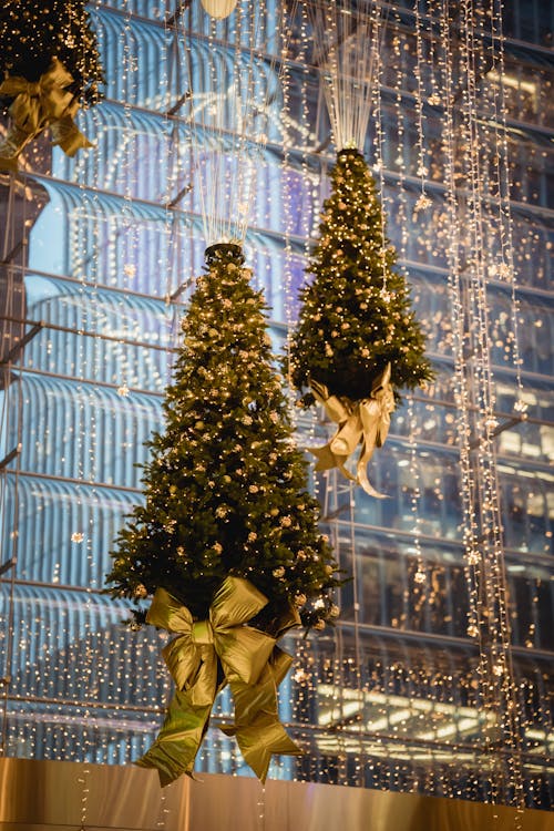 Free Decorative Christmas trees with lights and bows hanging in front of a glass building during twilight. Stock Photo