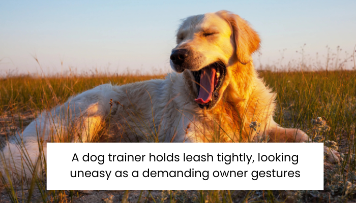 Am I Wrong for Turning Down a Client Who Chewed Me Out Before?