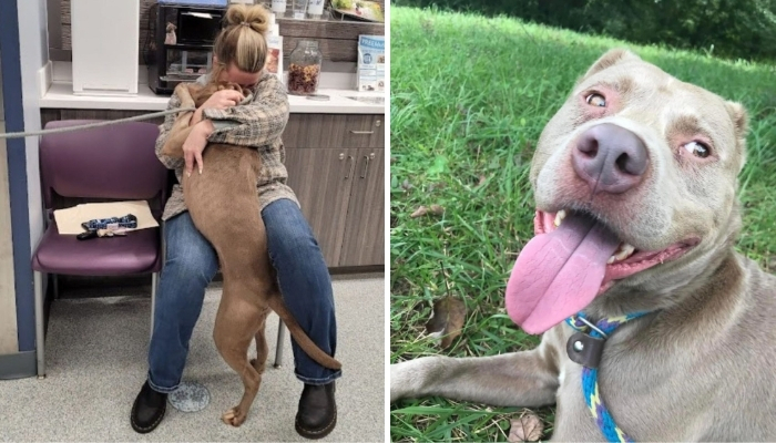 Shelter Dog In Atlanta Hears Familiar Voice Call His Real Name And Everyone Starts Tearing Up