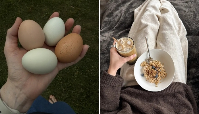 10 Foods That Are Cheaper and Pack More Protein Than Eggs