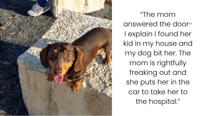 Man Seeks Money After His 4-Year-Old Is Bitten by a Dog, Then Faces Consequences