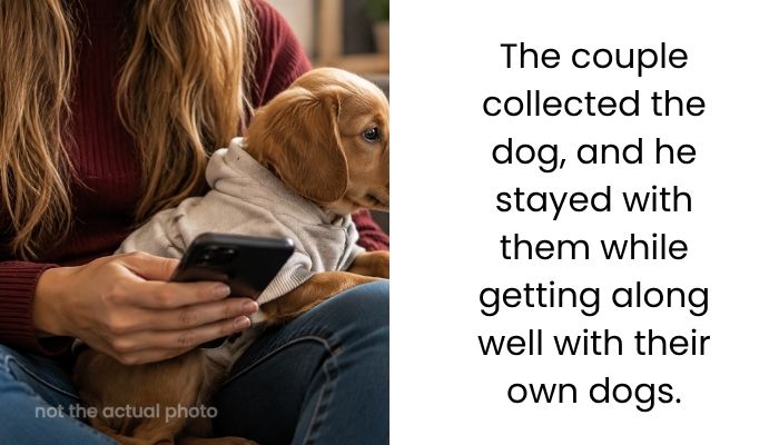 Neighbor Leaves Couple Stuck Caring for Her Dog After Asking Them to Watch Him for a Few Days